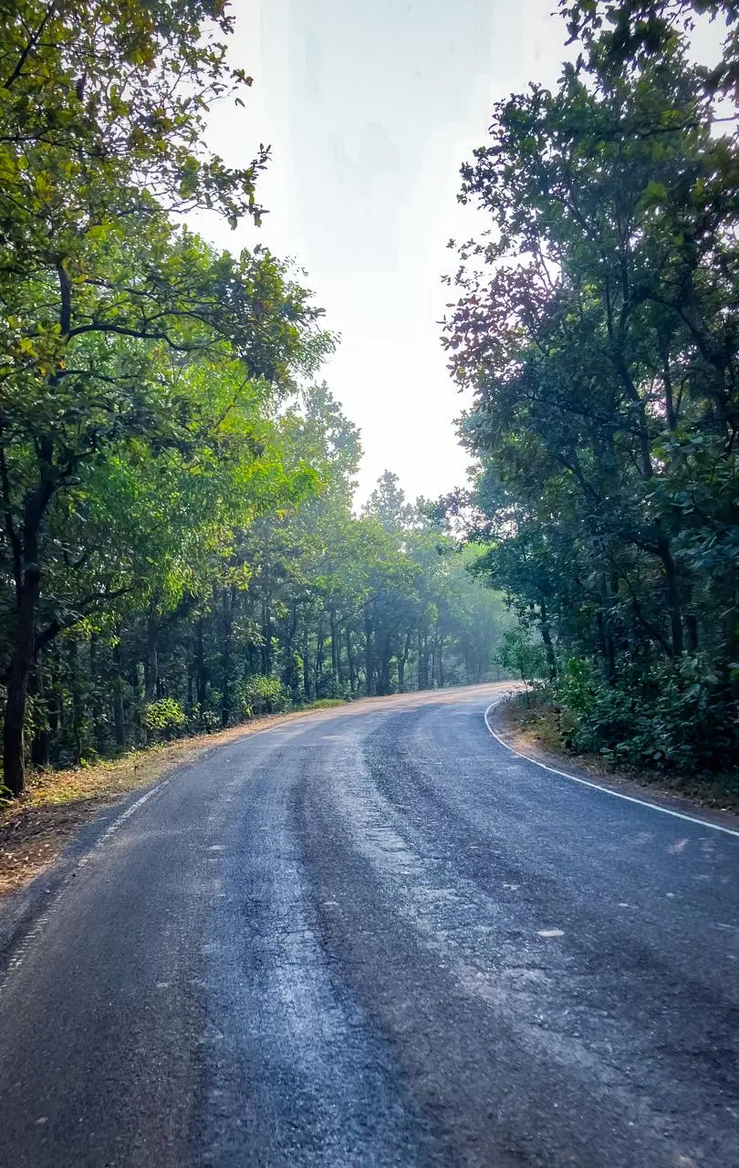 Forest Road
