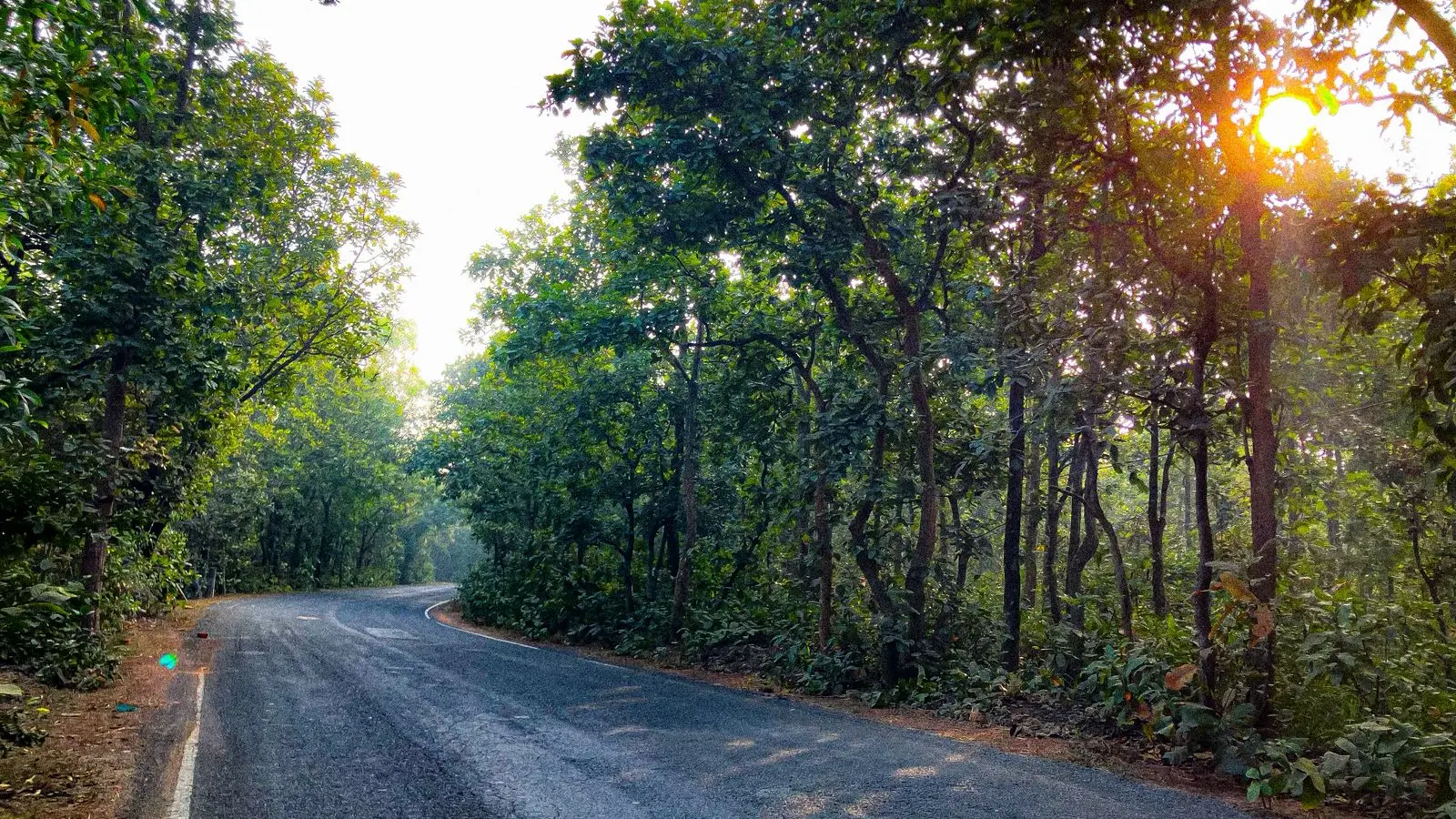Aduria Forest