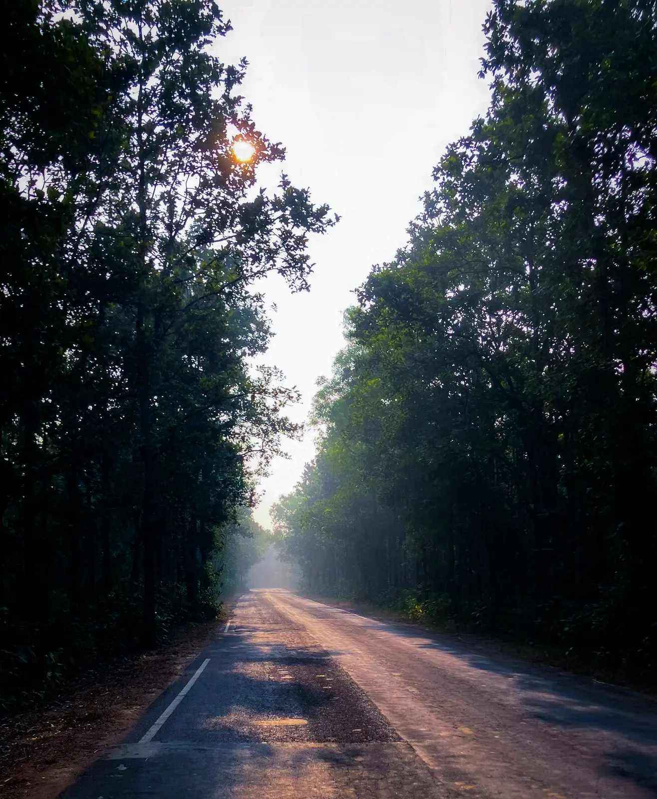Aduria Forest