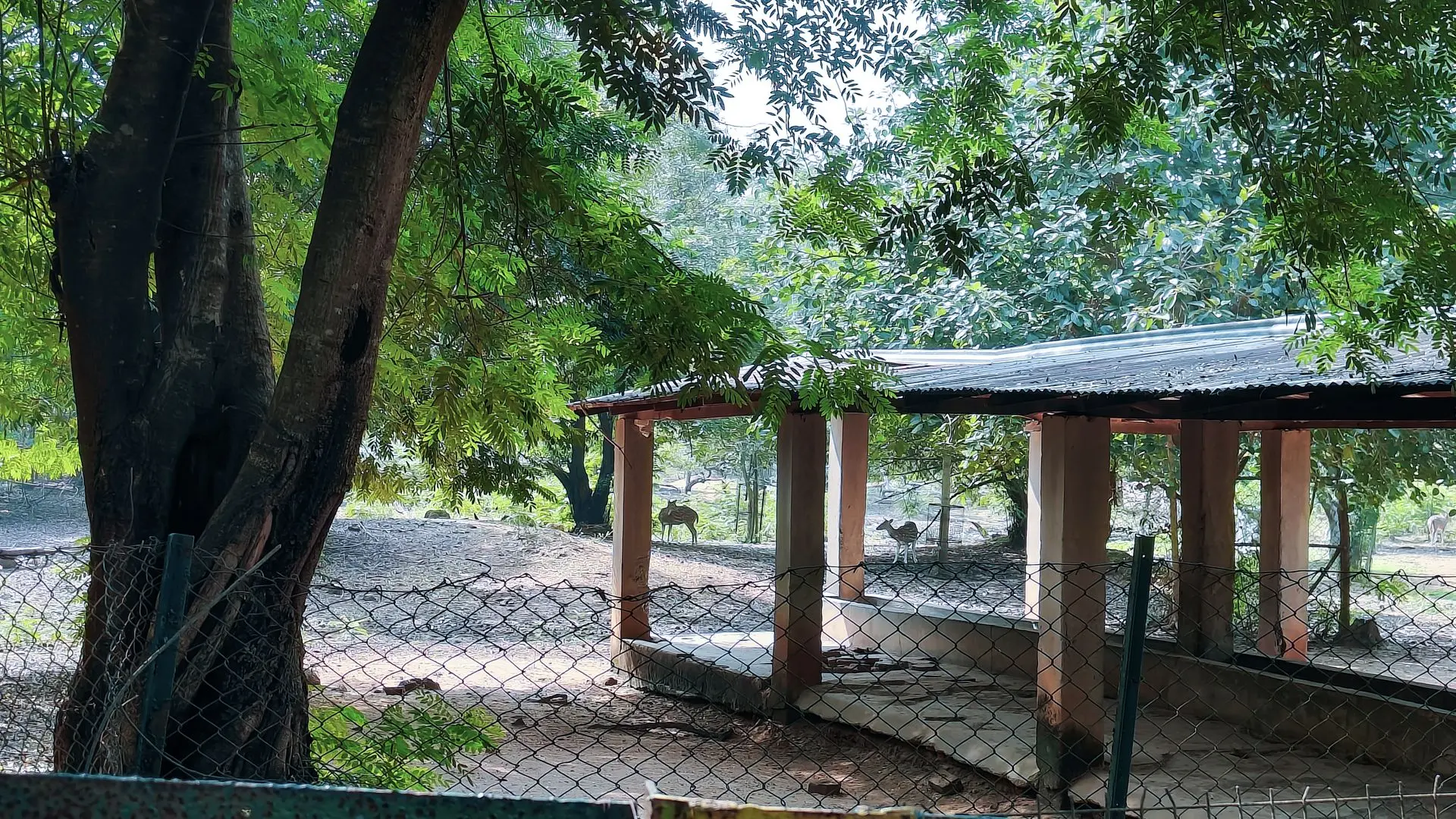 Ballavpur wildlife sanctuary deer park