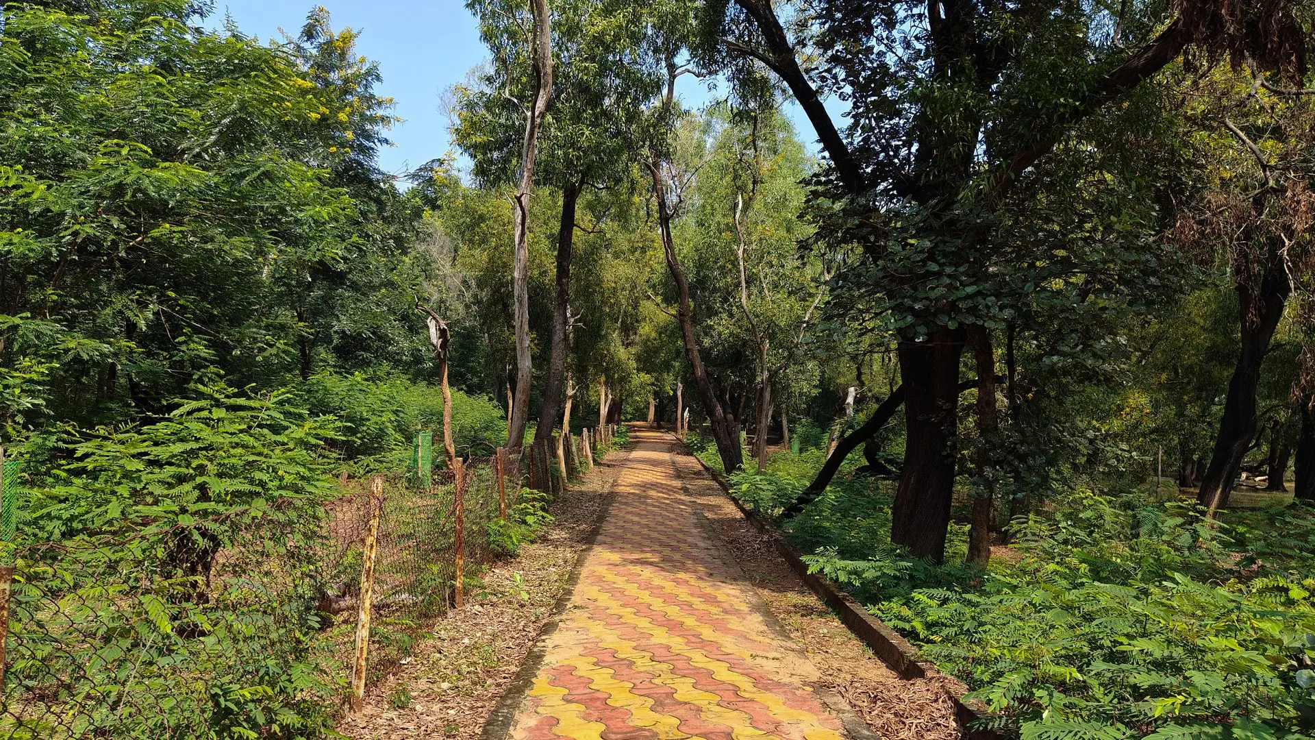 Ballavpur wildlife sanctuary deer park