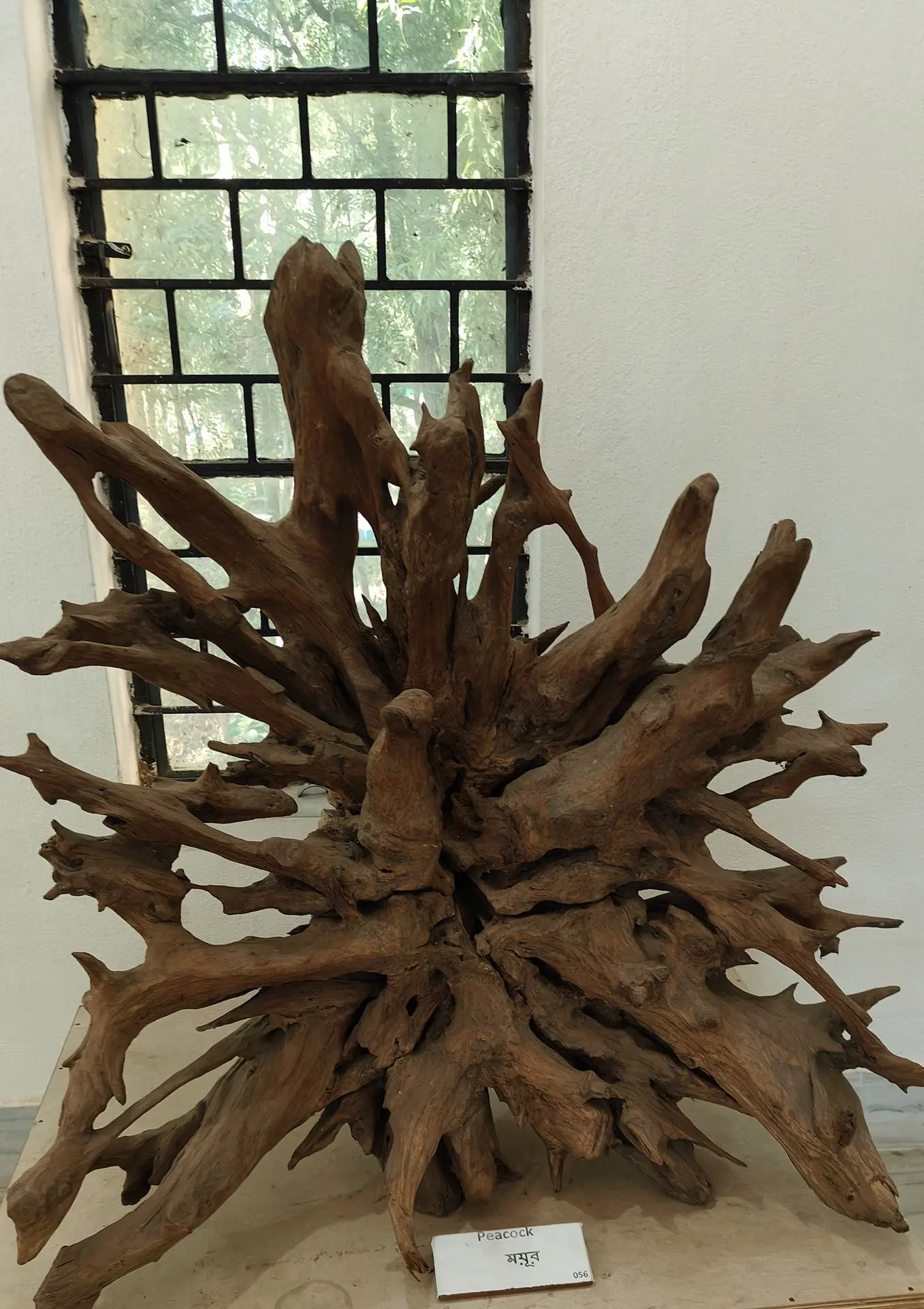 প্রকৃতি ভবন - Nature Art Museum