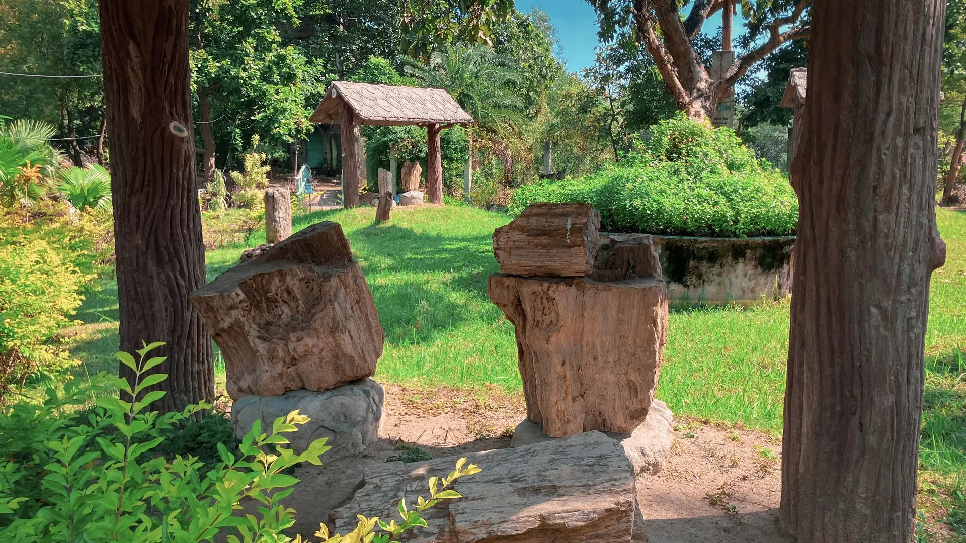 Wood Fossil Park