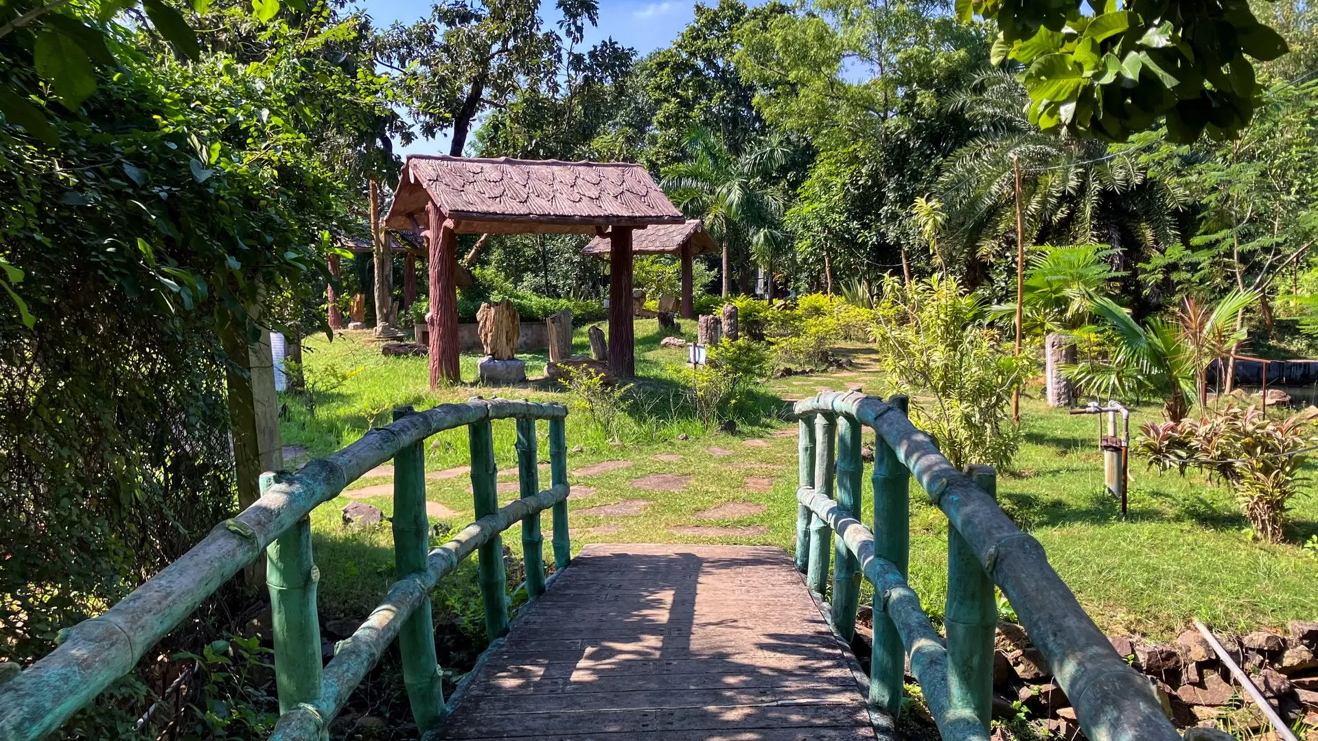 Wood Fossil Park