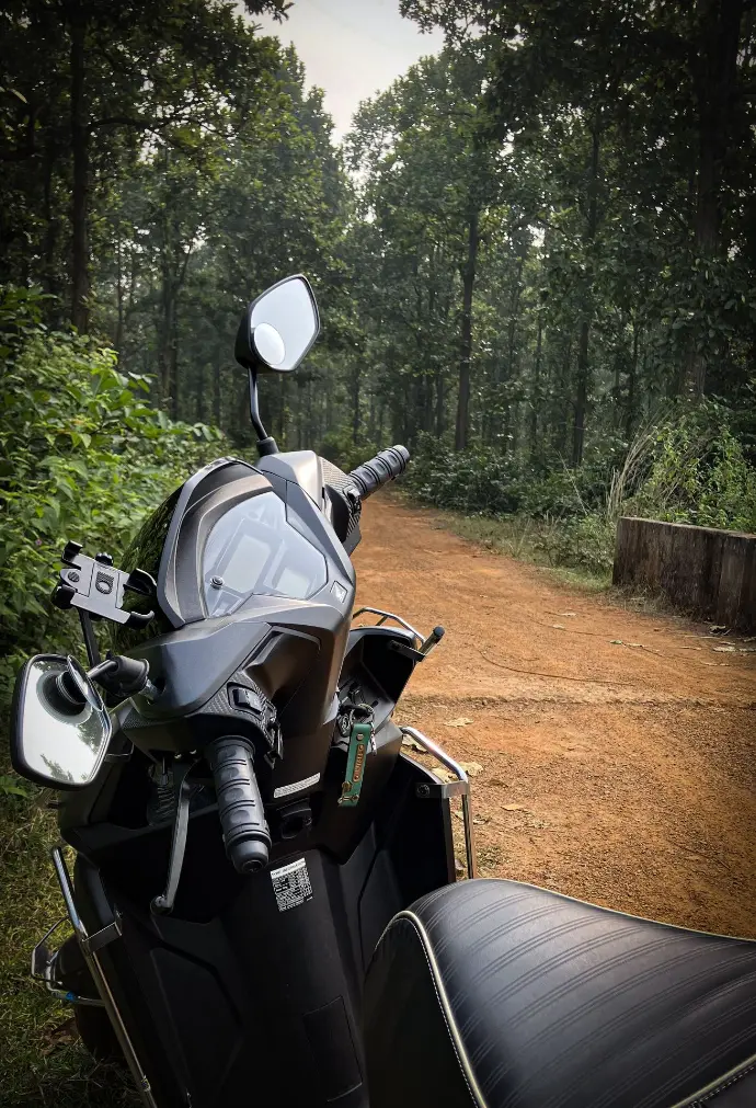 Beliatore forest